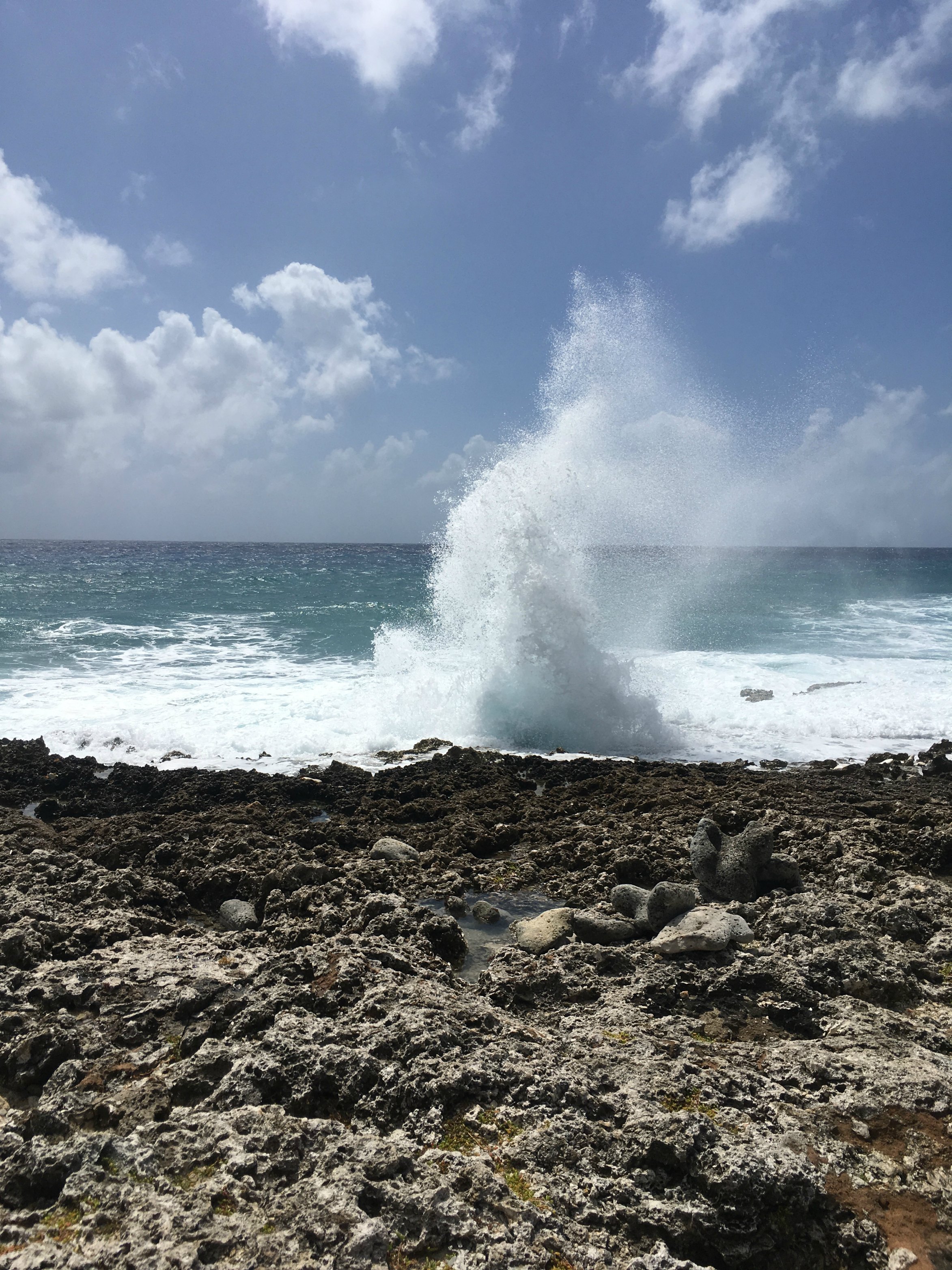 The Blowholes in Grand Cayman